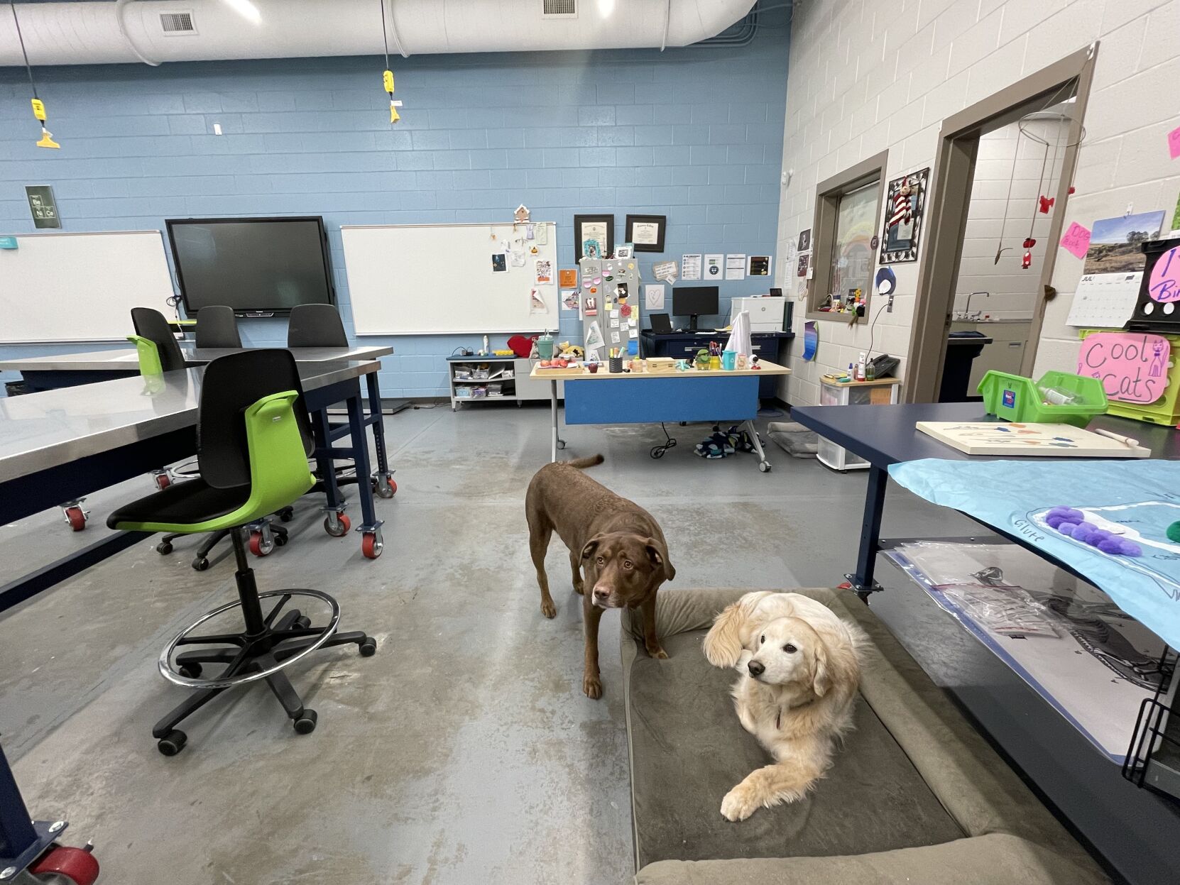 McCarrell's Classroom